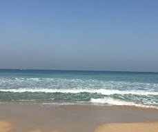 شاطئ ميامي