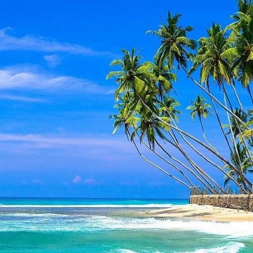 شاطئ اوناواتونا — صورة 1