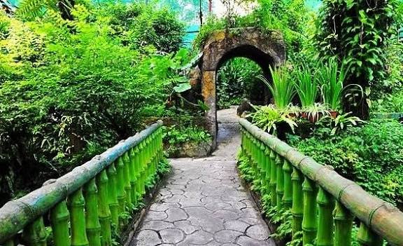 حديقه الفراشات — صورة 12