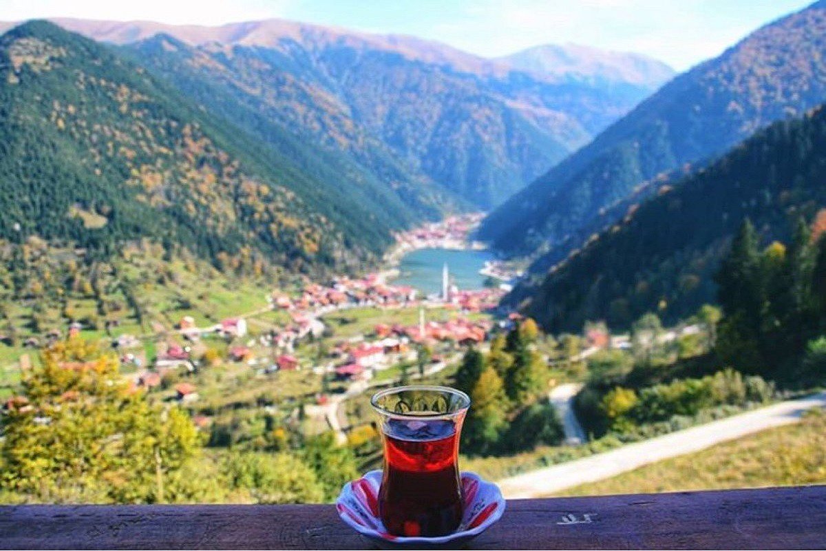 منتجع حيدر نبي — صورة 4