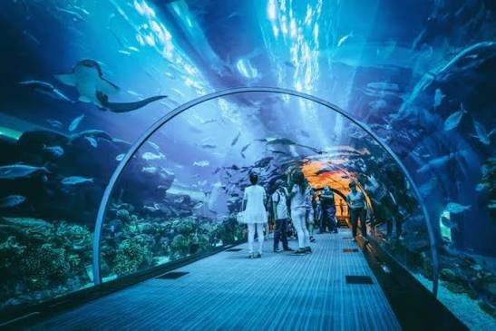 aquaria klcc — صورة 4
