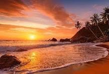 الشاطئ  الاستوائي — صورة 1