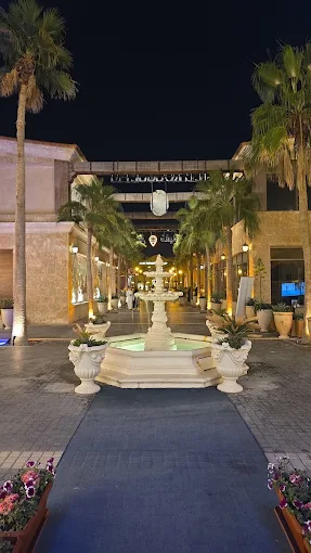 جزيرة الدغيثر — صورة 4