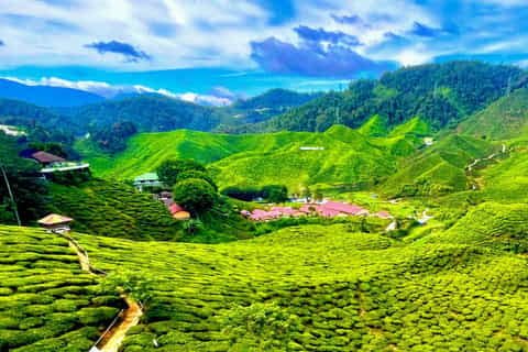 العالم المفقود — صورة 8