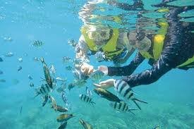 شاطئ باتوفرنجي — صورة 14