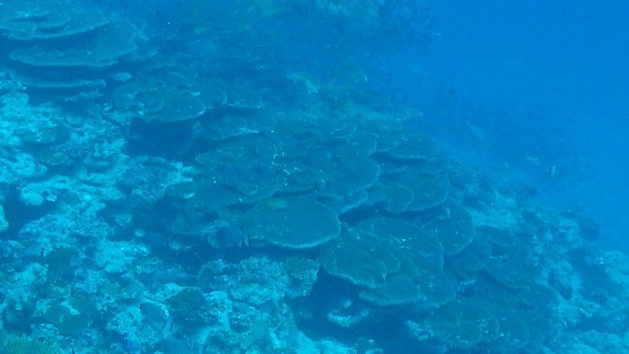 الشاطئ الجنوبي الغربي — صورة 13