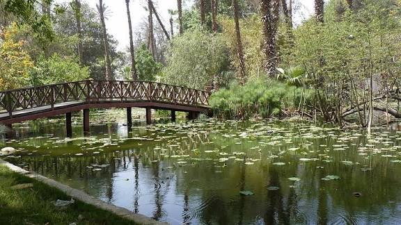 حديقة الاورمان — صورة 4