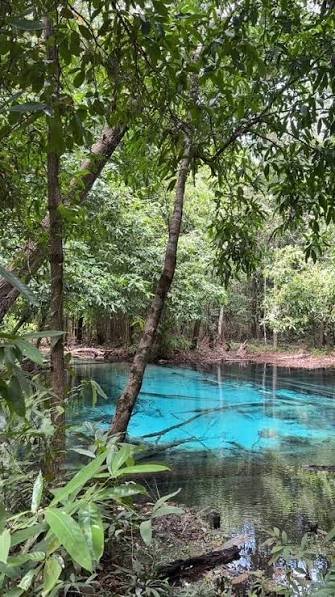 بحيرة وحديقة ايمرلاد — صورة 10