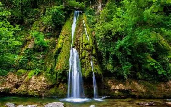 شلال الغابه — صورة 5