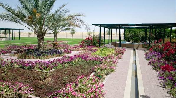 الحديقه النباتيه — صورة 12
