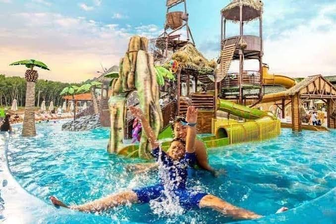حديقة بلو تري المائيه — صورة 6