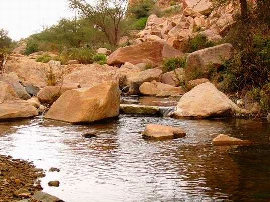 حديقة الحيوانات بالطائف — صورة 1