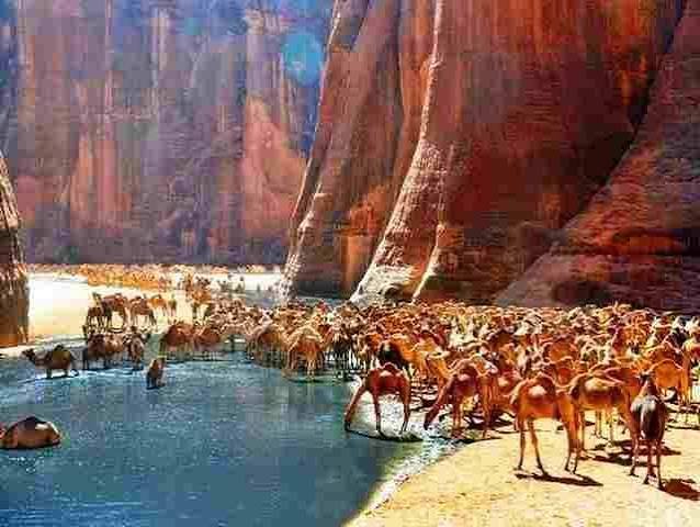 محمية وادي الجمال — صورة 1