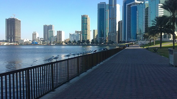 كورنيش البحيره — صورة 4