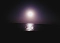 ZOUNi Beach - Mangroovy — صورة 12