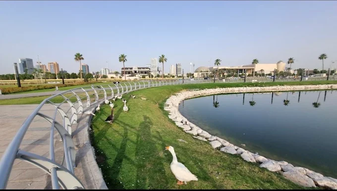 بحيرة البط — صورة 6