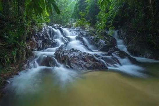شلالات تمبر بارك — صورة 5