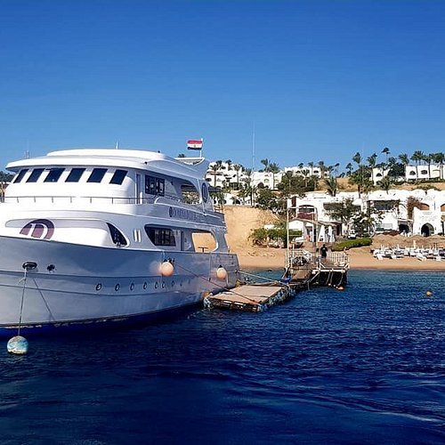 رحلات اليخوت — صورة 1