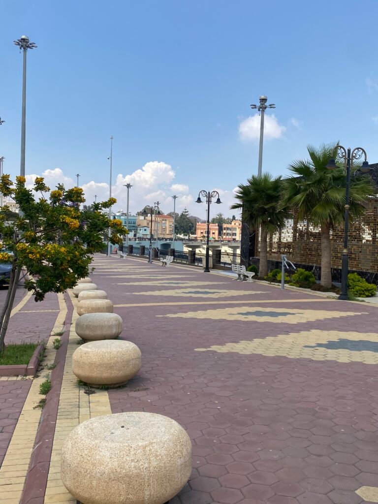 ممشى الضباب — صورة 7