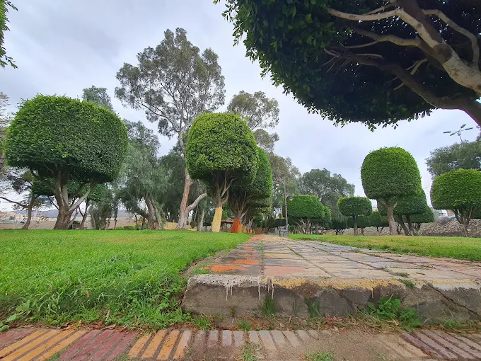 حديقة بحيرة السد — صورة 4