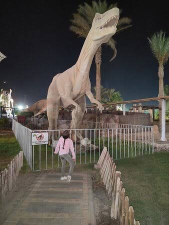 ملاهي تيدا فن فالي — صورة 3