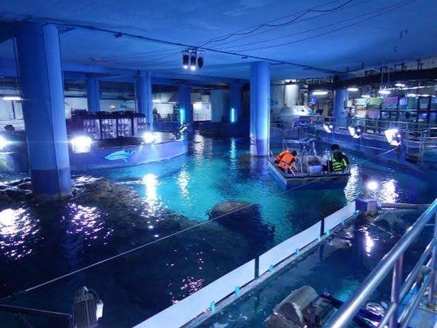 سي لايف اكواريوم — صورة 5