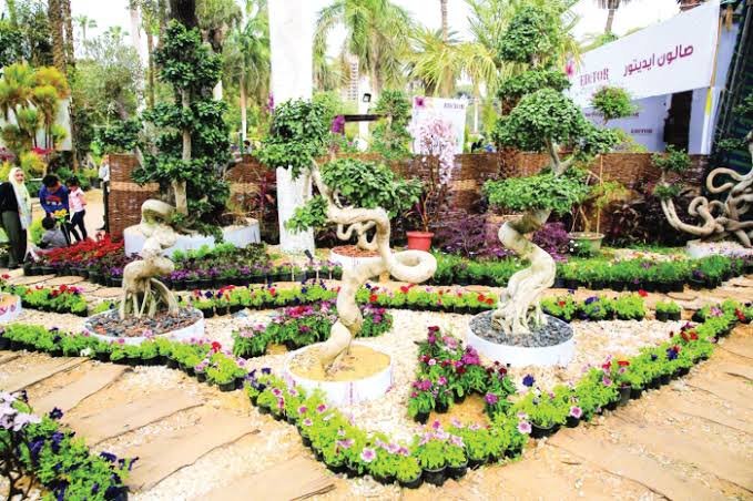 حديقة الاورمان — صورة 2