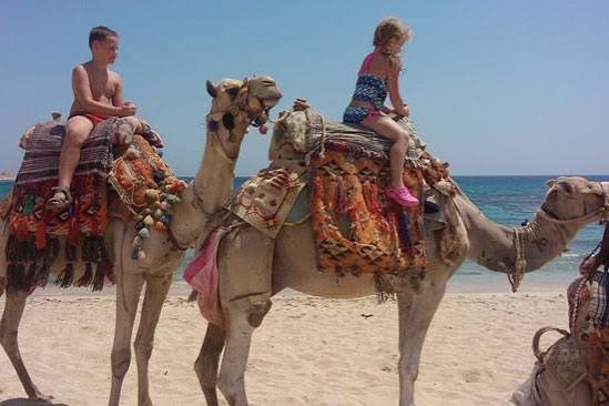 ركوب الجمال — صورة 13