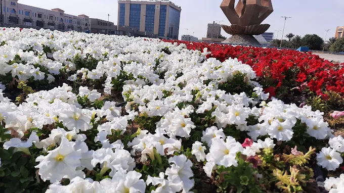 حديقة الامير سعود بن جلوي — صورة 4