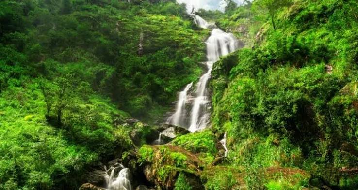 شلال سايا الفضي — صورة 7