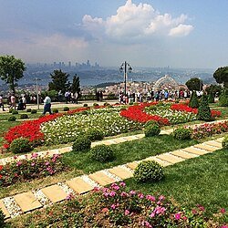 تل العرائس — صورة 1