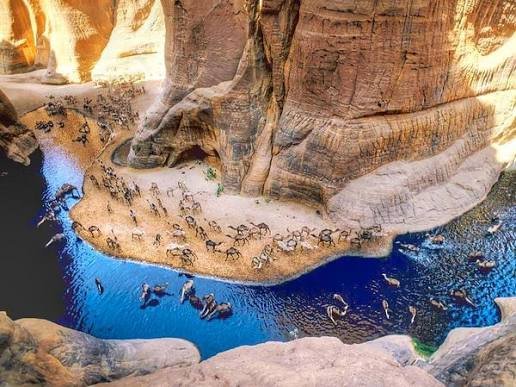 محمية وادي الجمال