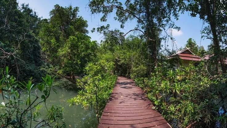 تايلاند 12 يوم — صورة 1