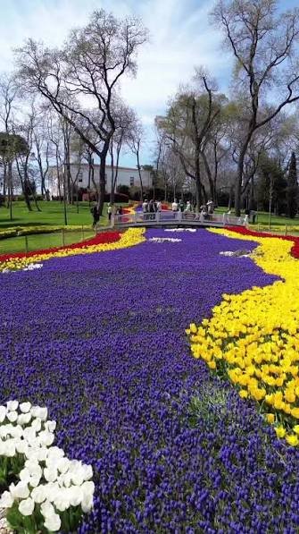 حديقة جولهانه — صورة 11