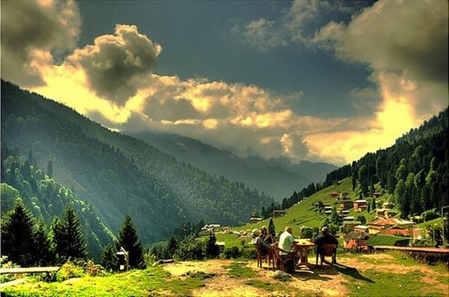 التنزه بين الغابات — صورة 7