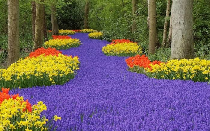 الحديقه النباتيه — صورة 7