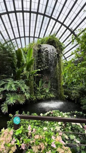 حديقة الفراشات — صورة 17