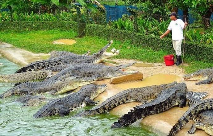 ماليزيا 9 ايام — صورة 16