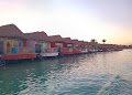 ZOUNi Beach - Mangroovy — صورة 4