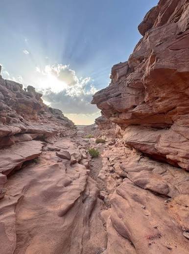 رحلات السفاري والجبال — صورة 3