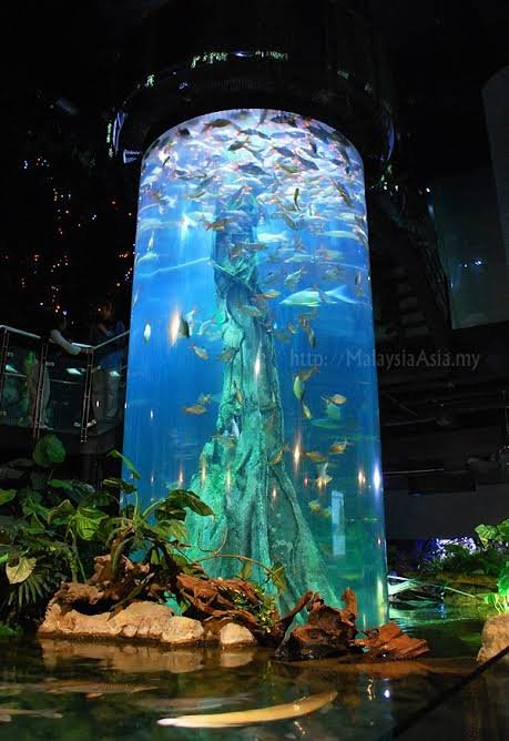 aquaria klcc — صورة 1