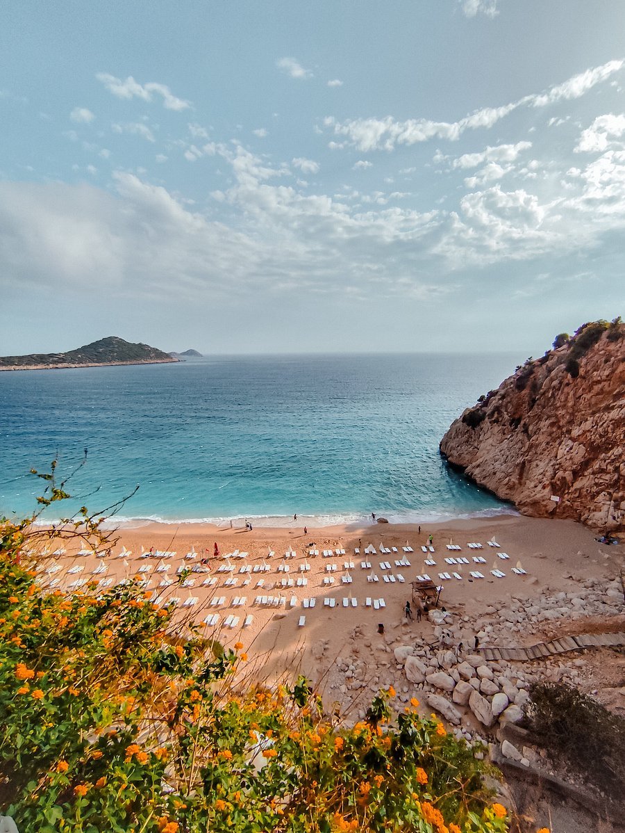 تجربة الحياه البريه — صورة 9