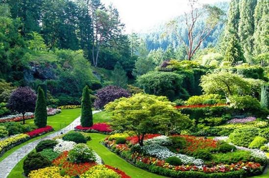 الحديقه النباتيه — صورة 2