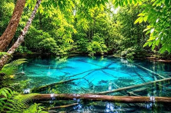بحيرة وحديقة ايمرلاد — صورة 6
