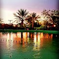 حديقه الملك عبدالله — صورة 1