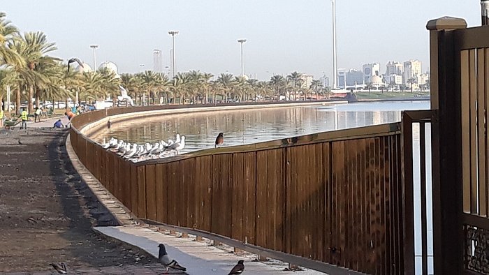 كورنيش البحيره — صورة 7