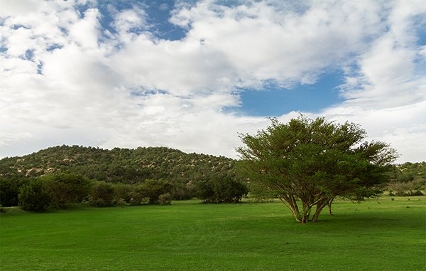 حديقة الامير سلطان — صورة 2
