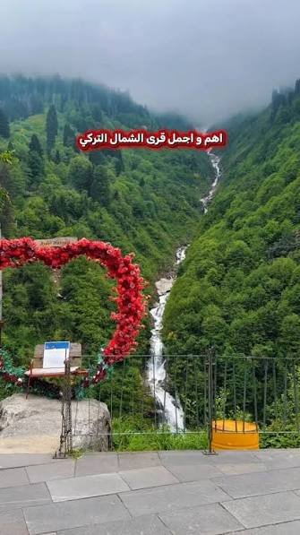 شلال فستان العروس — صورة 5