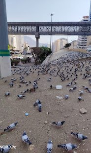 حديقة محبس الجن — صورة 11