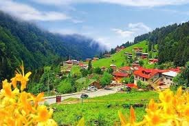 هضبة افوسور — صورة 2